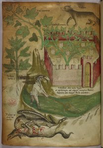 Botanische en dierlijke illustratie van planten, een ommuurde tuin, een wolf, een man die met een net vist in een beek en een gier die een karkas van een dier pikt, ca. 1440 (inkt en kleur op perkament) door Italian School