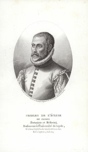 Carolus Clusius door Italian School