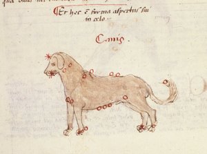 Constellatie van de hond (Canis) door Italian School