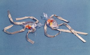 Kopie van twee medische thermometers uit het Museo di Storia della Scienza in Florence (glas & lint)