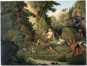 Schepping van Eva uit de dij van Adam - in "Aurea Bibbia classica: storia della rivelazione divina nell