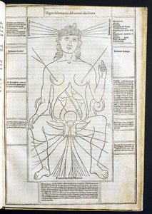 Vrouwelijke anatomie uit Fasciculus Medicinae door Johannes de Ketham (d.c.1490) ca.1507 door Italian School