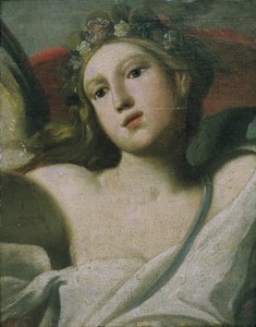 Flora