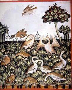Fol.69v Eenden en Ganzen, illustratie uit 