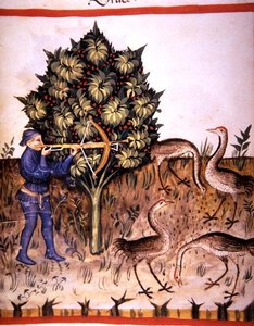 Fol.70v Kraanvogel Jagen, illustratie uit 
