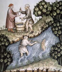 Vissen, illustratie uit Tacuinum Sanitatis Codex Vindobonensis door Italian School
