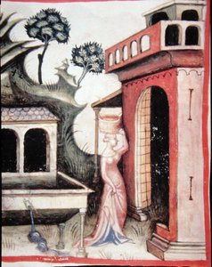 Fol.88v Bronwater, illustratie uit 