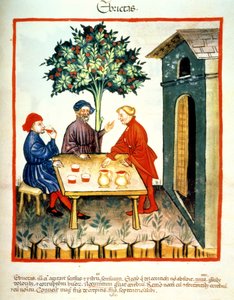 Dronkenschap, illustratie uit Tacuinum Sanitatis Codex Vindobonensis
