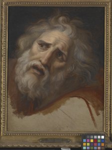 Hoofd Van Laocoon door Italian School
