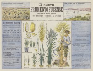 Il nuovo Frumento Fucense door Italian School