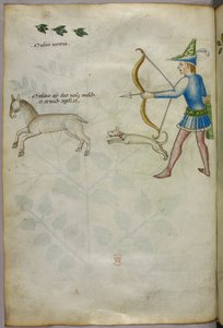 Illustratie van een man met een boog die op een dier schiet, met een hond en vogels erboven, ca. 1440 (inkt en kleur op perkament)