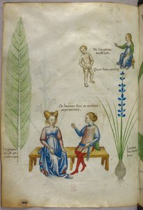 Illustratie van akkerpaardenstaart [hyppuris], en iris [ jacintus]; figuren die aspecten van de menselijke seksualiteit voorstellen, ca. 1440 (inkt  kleur op perkament) door Italian School