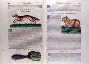 Illustraties uit 