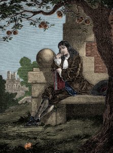 Isaac Newton observeert een appel die op de grond valt terwijl hij onder een boom zit