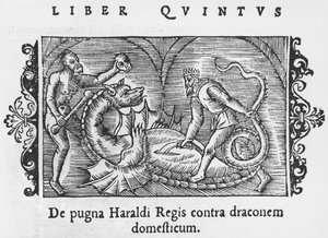 Koning Harald vecht tegen een draak, illustratie uit Historia de Gentibus Septentrionalibus door Olaus Magnus (1490-1558), gepubliceerd in Rome, 1555 door Italian School