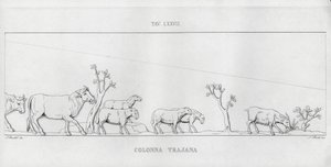 La Colonna Trajana, Trajanus