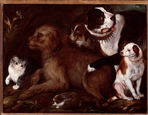 Medici honden, met een kat en een konijn uit de Italiaanse school door Italian School