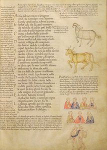 Ms Italien 87 fol.171 Pagina met astrologische tekens, uit 