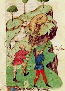 Ms Lat 993 fol.35r De jacht, uit 
