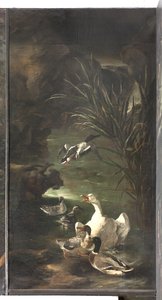 Mythe van Orpheus: zwaan en eenden