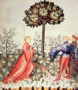 Mosterd oogsten, uit Tacuinum Sanitatis