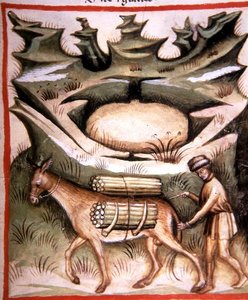 Nova 2644 fol.90r Sneeuw en IJs, uit 