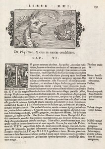 Pagina 735 uit Historia De Gentivus Septentrionalibus door Magnus Olaus, Rome 1565 door Italian School