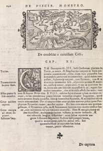 Pagina 740 uit Historia De Gentivus Septentrionalibus door Magnus Olaus, Rome 1565 door Italian School