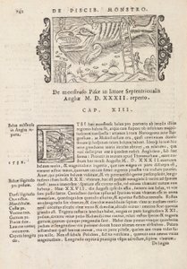Pagina 742 uit Historia De Gentivus Septentrionalibus door Magnus Olaus, Rome 1565 door Italian School
