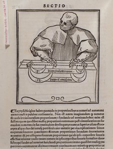 Pagina uit Musica theorica door Lodovico Fogliani (1475?-1542) (of Ludovico Foliani), muziektheoreticus.