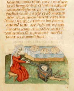 Pagina uit de Tractatus de Herbis door Dioscorides Pedanius door Italian School