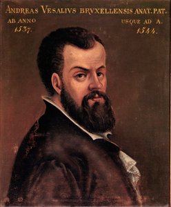 Portret van Andre Vesale (Andreas Vesalius) (1514-1564), anatoom en arts van Karel V anoniem schilderij van de Italiaanse school. 16e eeuw Padua, Universiteit