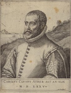 Portret van Carolus Clusius door Italian School