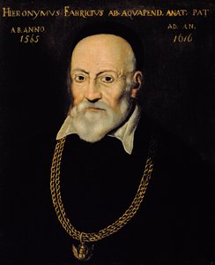 Portret van Hieronymus Fabricius