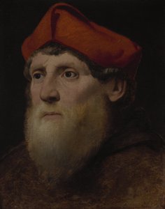 Portret van een Behaarde Prelaat