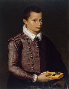 Portret van een Jongen met een Boek