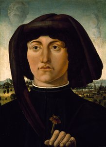 Portret van een jonge man met een roze bloem, ca. 1475-85