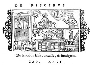 Zouten, drogen en roken van vis, illustratie uit Historia de Gentibus Septentrionalibus door Olaus Magnus (1490-1558), uitgegeven in Rome, 1555 door Italian School