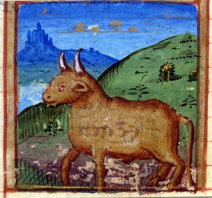 Teken van de stier. Italiaans horoscoop, midden 15e eeuw door Italian School