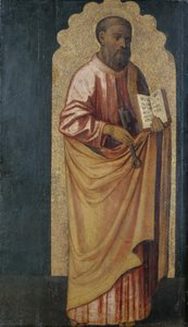 De Apostel Petrus
