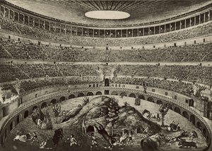 Het Colosseum, De grote wilde beestenjacht door Italian School