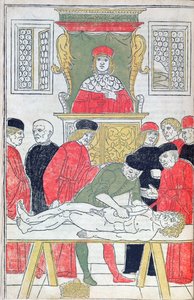 De Dissectie, illustratie uit 