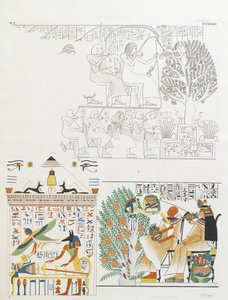 De overledene krijgt voedsel en wijn van de godin van de sycamoreboom en Anubis met de mummie
