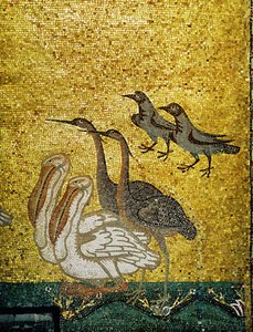 Diverse vogels ... (mozaïek)