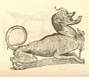 Illustratie van Canis monstroso capite uit Aldrovandis Geschiedenis van Monsters, 1642