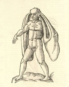 Illustratie van Homo Fanesius auritus uit Aldrovandi