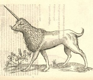 Illustratie van een Camphurch uit Aldrovandis Geschiedenis van Monsters, 1642 door Italian School