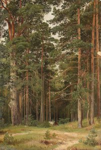 Een zomerdag, Merikiul, 1895 door Ivan Ivanovich Shishkin