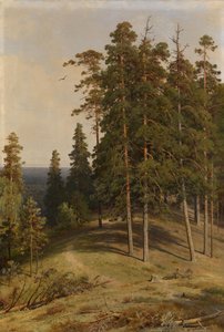 Het Pijnboombos, 1895