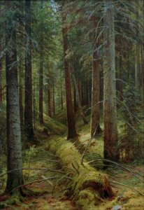 In het Russische bos